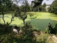 <div id=myiframe><iframe src=http://www.facebook.com/plugins/like.php?href=http%3A%2F%2Fsajha%2Ecom%2Fsajha%2Fhtml%2Findex%2Ecfm%3Frecommendations%3D1%26id%3D190%26photofile%3DIMG%5F20161017%5F122144%2Ejpg&layout=standard&show_faces=false&share=true&width=450&action=like&colorscheme=dark&height=15 scrolling=no frameborder=0 allowTransparency=true></iframe></div>